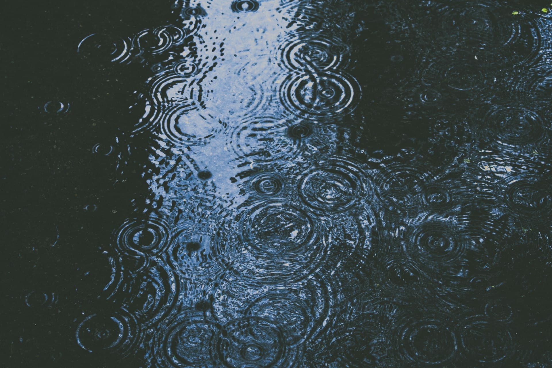 Rain on dark water